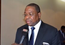 ANNEE DES ECHANGES HUMAINS ET CULTURELS CHINE-AFRIQUE : L’ANCIEN MINISTRE MANKEUR NDIAYE SALUE « LE SYMBOLE VIVANT D’UNE AMITIE DURABLE… »